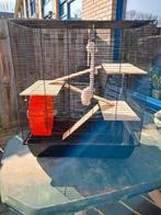 hamsterkooi, Dieren en Toebehoren, Ophalen, Kooi, 60 tot 90 cm, Minder dan 75 cm