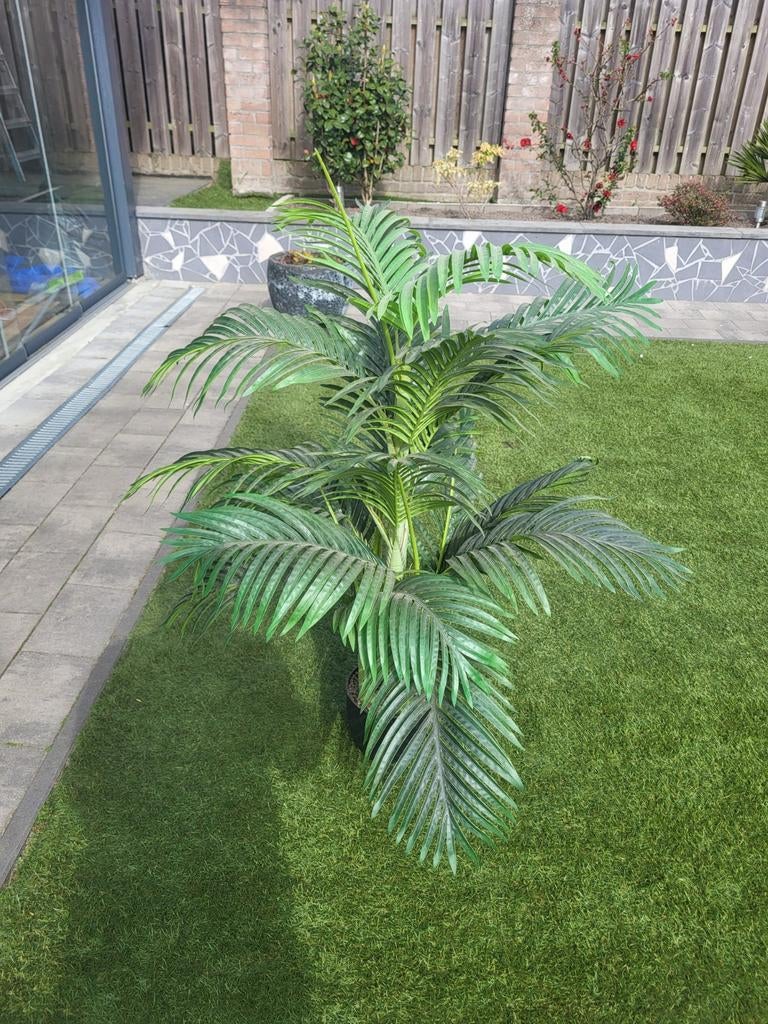 Mooie kunstpalm, Ophalen