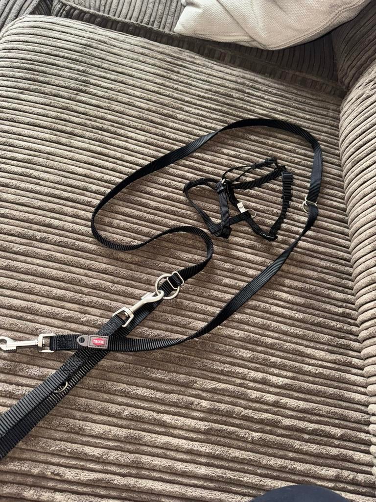 Honden tuigje + riem, Ophalen of Verzenden, Nieuw, Hondenriem