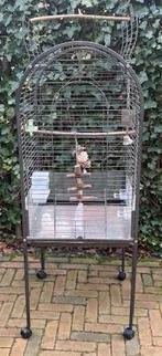 Kooi voor papegaai of valkparkiet. Vogelkooi, Ophalen, Gebruikt, Metaal, Vogelkooi