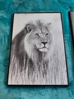 Schilderij leeuw canvas, Ophalen