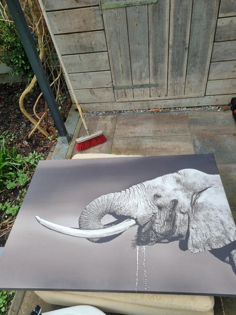 Schilderij olifant zwart-wit, Ophalen