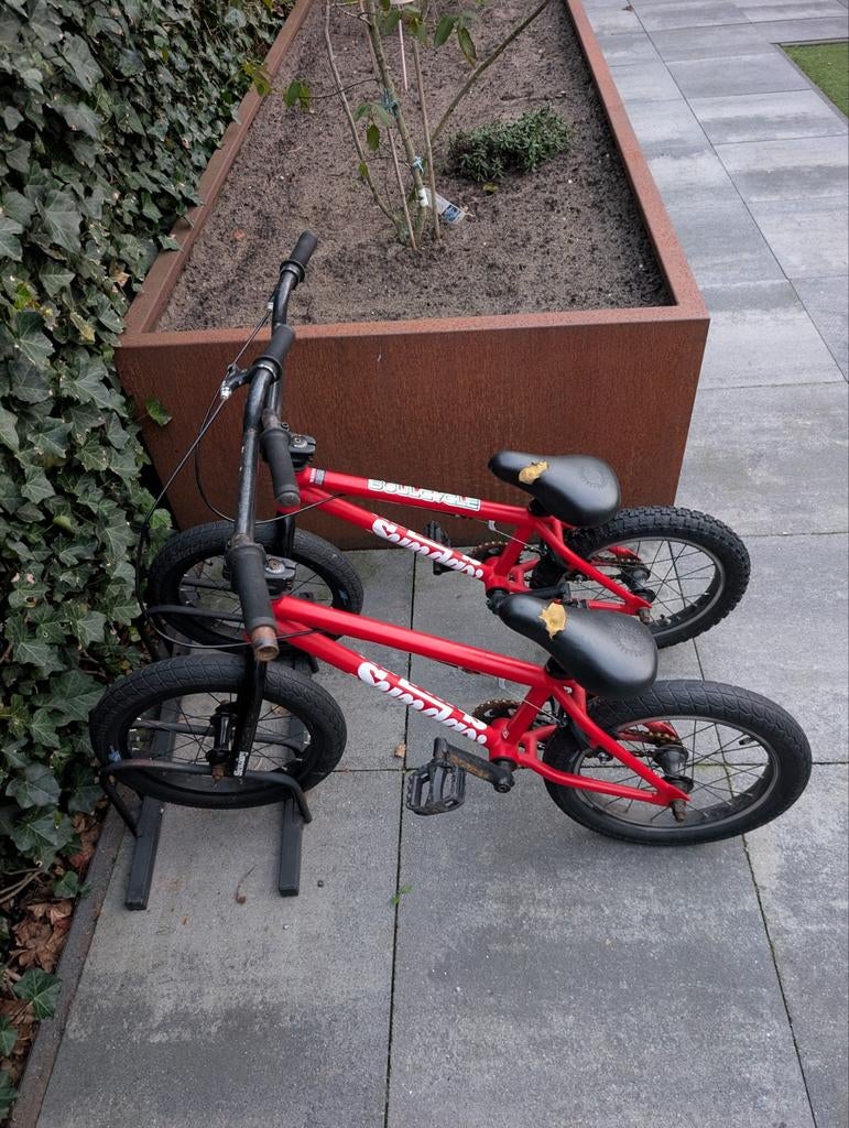 2x gebruikte Sunday proffesionele bmx fietsen in 1 koop!, Fietsen en Brommers, Fietsen | Crossfietsen en BMX, Ophalen, Gebruikt