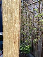 OSB-plaat - Sterk en veelzijdig plaatmateriaal, Doe-het-zelf en Verbouw, Hout en Planken, Minder dan 25 mm, Ophalen of Verzenden