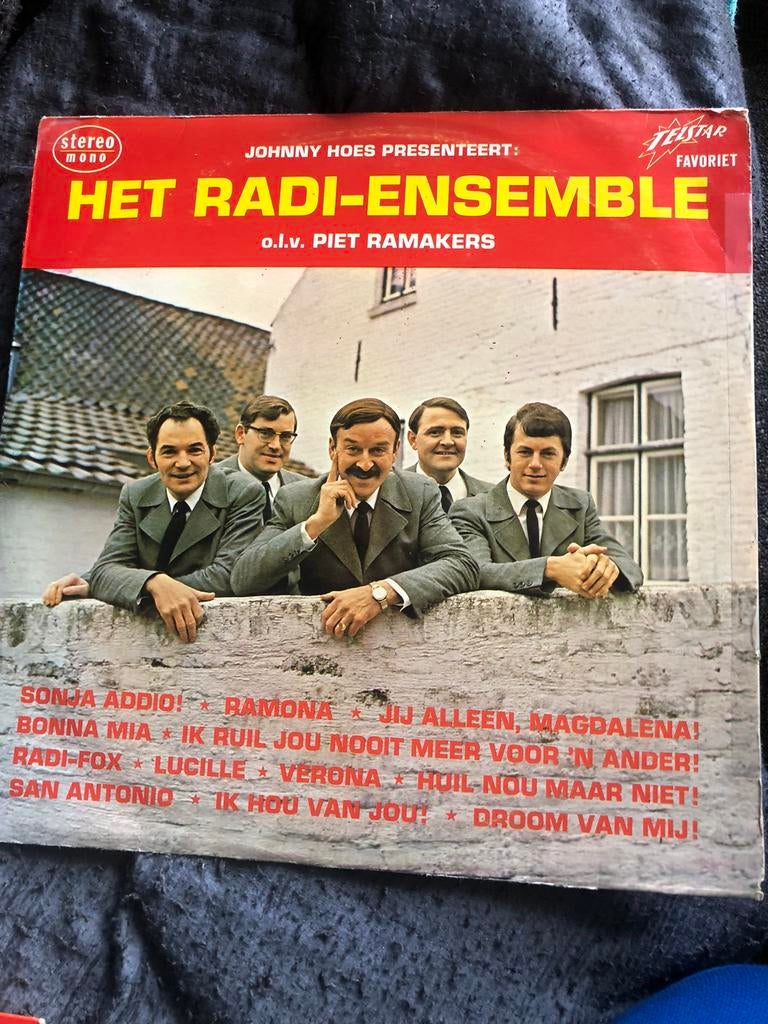 Het radi-ensemble Lp, Cd's en Dvd's, Vinyl | Nederlandstalig, Ophalen of Verzenden, Zo goed als nieuw, 12 inch, Levenslied of Smartlap