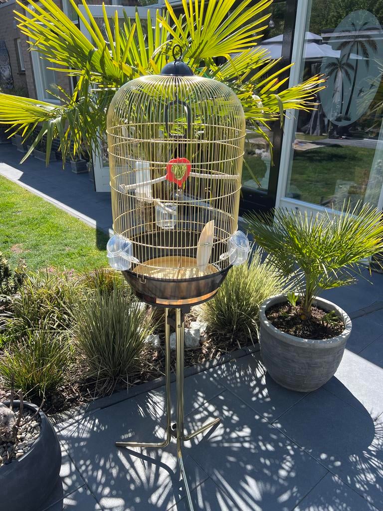 Parkieten kanarie kooi op standaard, Dieren en Toebehoren, Vogels | Hokken en Kooien, Ophalen, Metaal, Vogelkooi