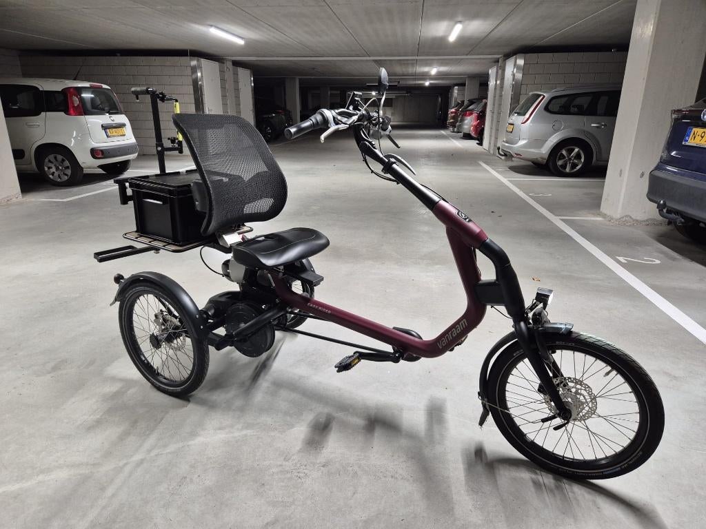 Driewieler E-bike, Fietsen en Brommers, Fietsen | Driewielfietsen, Ophalen, Zo goed als nieuw, Vanraam EASY RIDER
