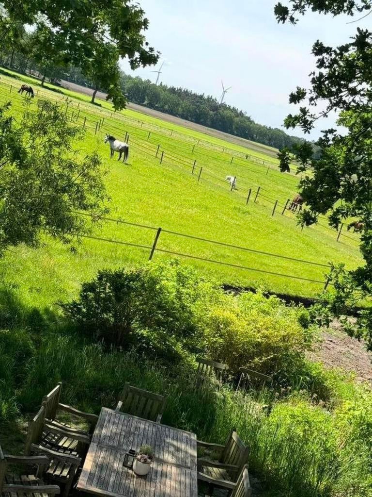 Privé stal heeft plek voor recreatieve ruin, Dieren en Toebehoren, Weidegang, 1 paard of pony