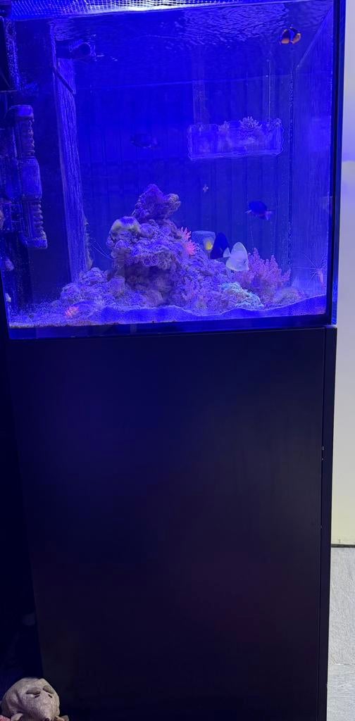 red sea reefer 200 g2, Ophalen, Zo goed als nieuw, Leeg aquarium