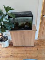 Aquarium met toebehoor, Ophalen, Gebruikt, Grind, Zand of Voedingsbodem