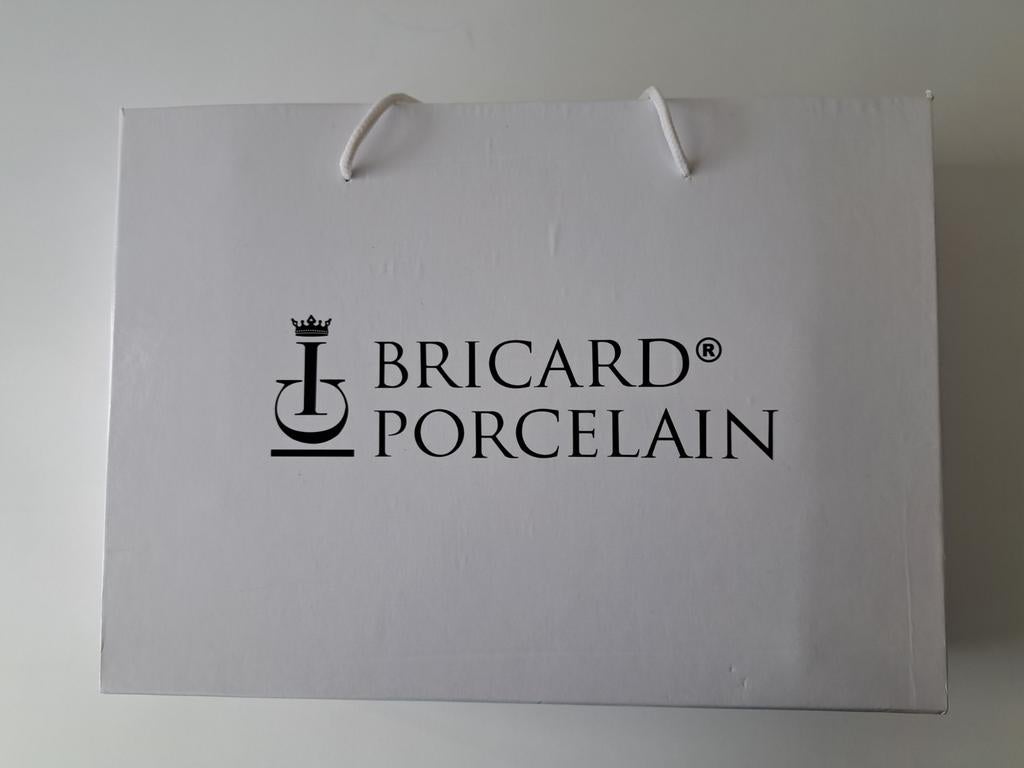 Bricard Porselein Kop en Schotel Set 12 delig, Huis en Inrichting, Nieuw, Ophalen of Verzenden, Overige stijlen, Kop(pen) en/of Schotel(s)