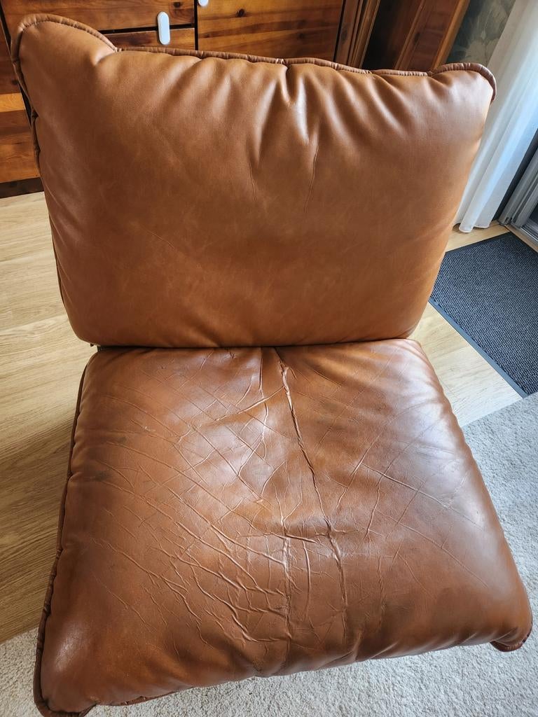 Gratis-Lazy Sack Zuiver Feuteuil, Ophalen, Zo goed als nieuw, Leer