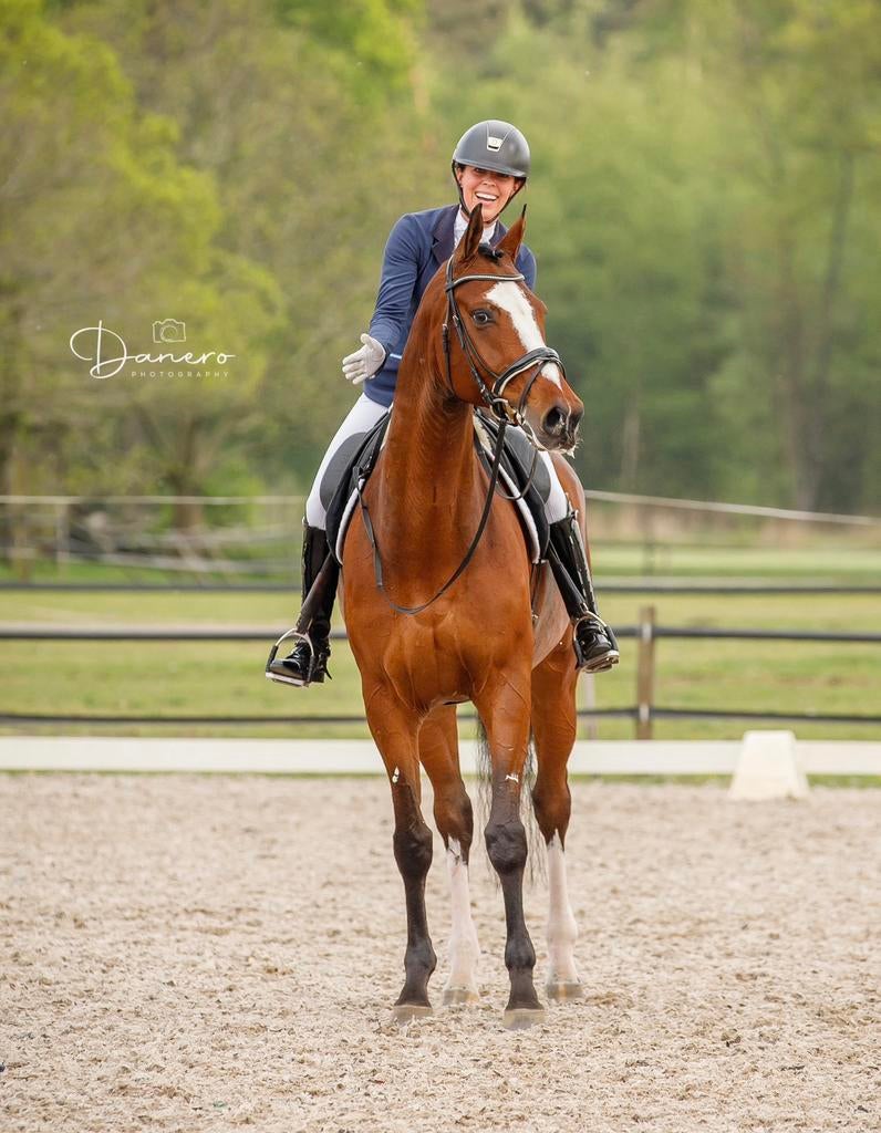 Zadelmak maken | africhten | uitbrengen | corrigeren, Ruiter of Bijrijder