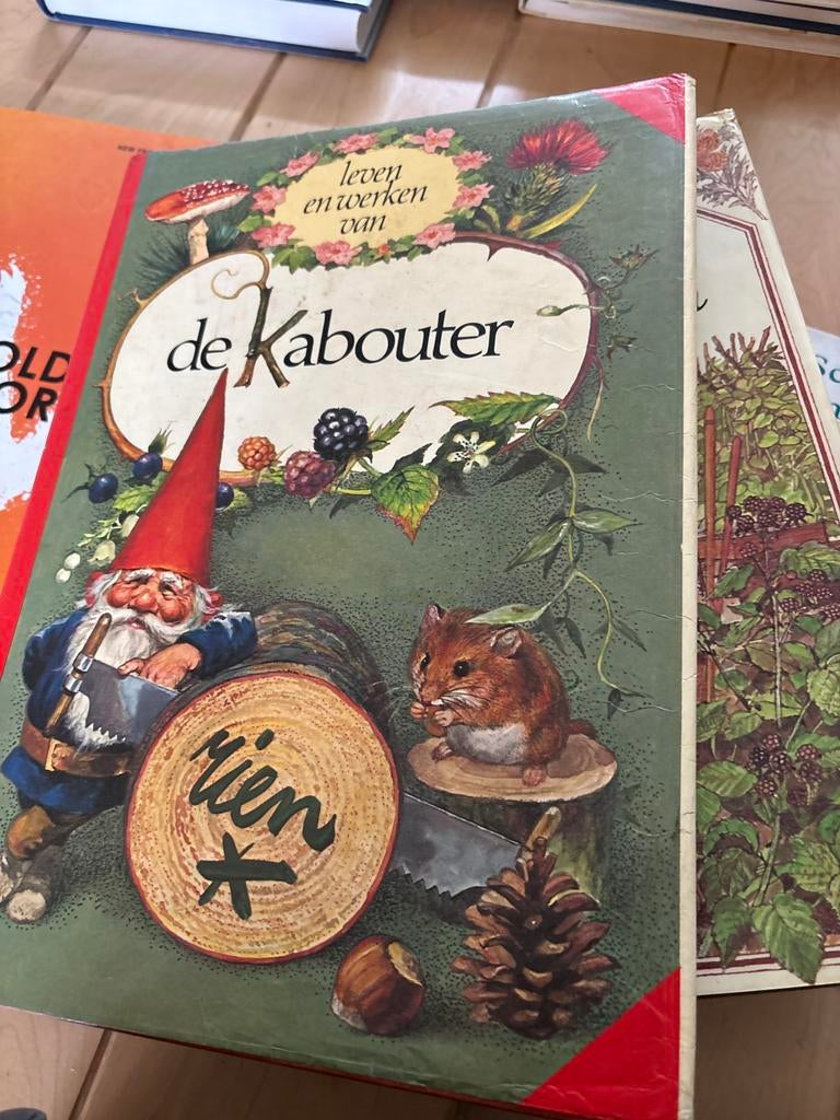De Kabouter, Rien poortvliet, Boeken, Sprookjes en Fabels, Gelezen, Ophalen of Verzenden