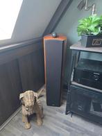 B&W High-End Vloerstaande Luidsprekers - Topkwaliteit Geluid, Ophalen of Verzenden, Zo goed als nieuw, Front, Rear of Stereo speakers