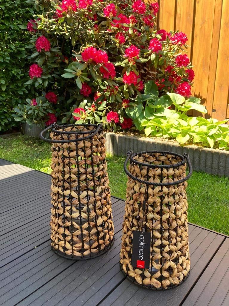 Colmore Lantaarn water Hyacint set-2 Nieuw!, Beige, 25 tot 50 cm, Nieuw, Ophalen of Verzenden