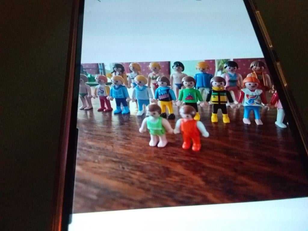 Playmobil van alles en nog wat, Ophalen of Verzenden, Gebruikt, Complete set