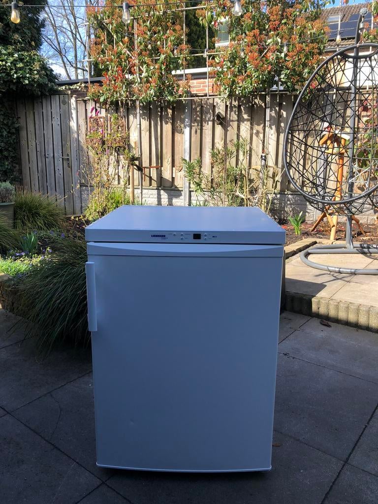 Diepvrieskast premium no frost merk Liebherr, Vrieskast, Minder dan 85 cm, Minder dan 60 cm, Ophalen of Verzenden