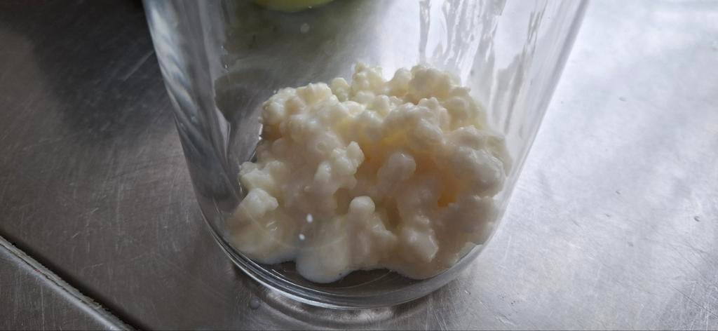 Verse kefir, Ophalen, Overige typen