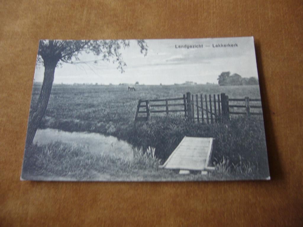 LEKKERKERK  =  LANDGEZICHT MET PAARD, Verzamelen, Ansichtkaarten | Nederland, Ophalen of Verzenden, 1920 tot 1940, Ongelopen, Zuid-Holland