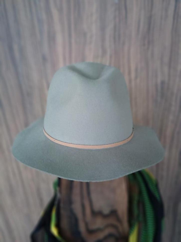 Brixton Fedora Hoed - Licht Olijfgroen 100% Wol - Unisex, Kleding | Dames, Hoeden en Petten, Zo goed als nieuw, Hoed, Ophalen of Verzenden