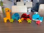 Diverse Duplo Mijn eerste dieren 30329, 30333, 30648, 10859, Kinderen en Baby's, Speelgoed | Duplo en Lego, Ophalen of Verzenden