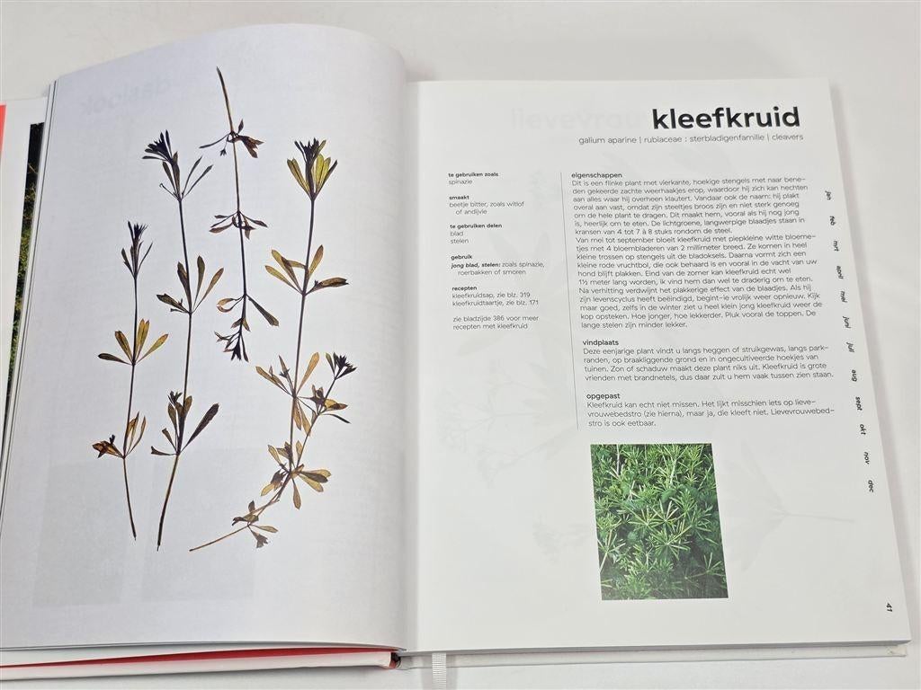 Van Boven in het Wild Zakboek — Wildplukken Yvette van Boven, Ophalen of Verzenden, Gelezen, Italië