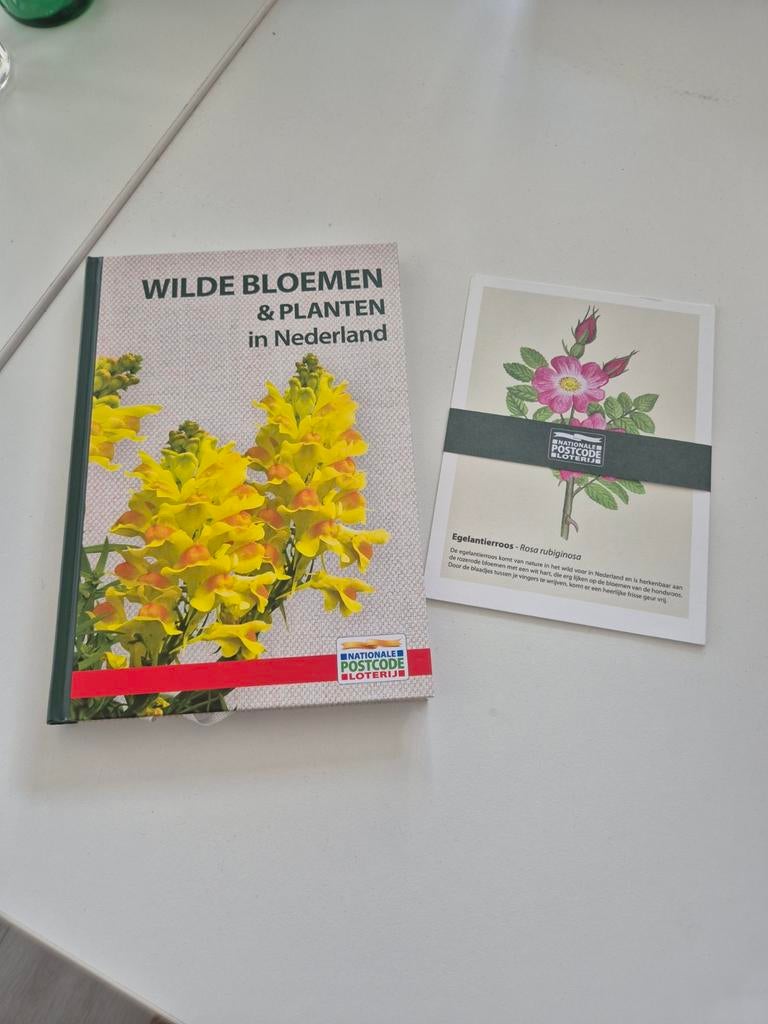 Boek & Kaartenset: Wilde Bloemen & Planten in Nederland, Ophalen of Verzenden, Bloemen, Planten en Bomen