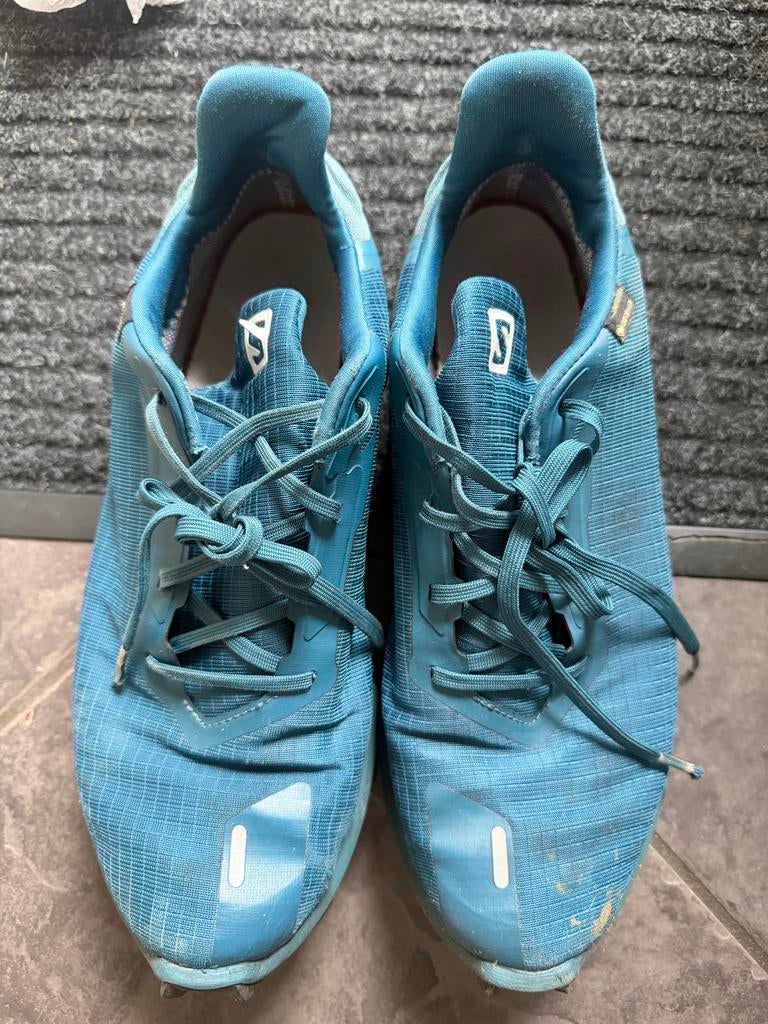 Gratise Salomon Alpha-X Gore-Tex Trailrunning Schoenen, Kleding | Heren, Schoenen, Ophalen of Verzenden, Gedragen, Blauw, Sportschoenen