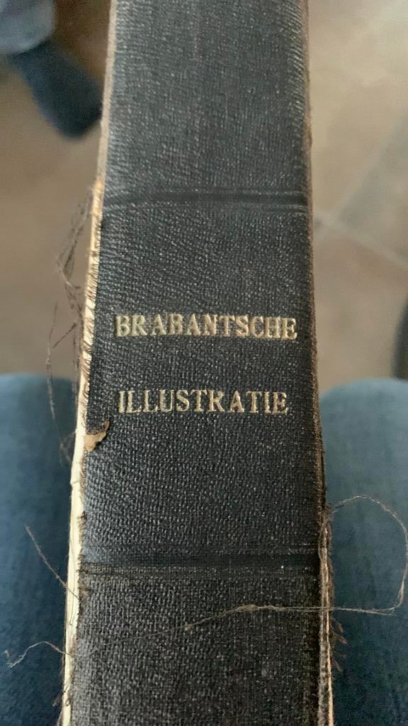 Brabanste illustratie, Boeken, Ophalen, Gelezen, Overige onderwerpen, Los deel