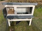 Konijnenhok + ren, Dieren en Toebehoren, Ophalen, 90 cm of meer, Konijn, Hok