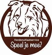 Tim Terpstra hondenuitlaat- en oppasservice, Uitlaatservice