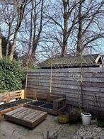 Leiboom amberboom 3stuks 250,-, Leiboom, 100 tot 250 cm, Zomer, Ophalen