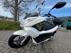Honda PCX 2011 28300km hele nette motor, Scooter, Gebruikt, Particulier, 125 cc