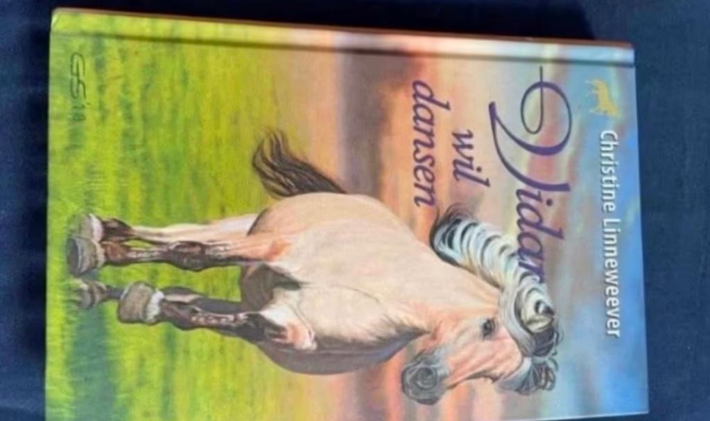 Boek: Vidar wil dansen, Ophalen, Nieuw, Christine Linneweever, Fictie