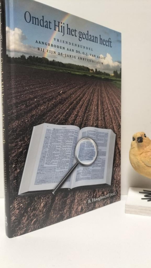 Hooghwerff, B.; Omdat Hij het gedaan heeft, Ophalen of Verzenden, Gelezen, Christendom | Protestants