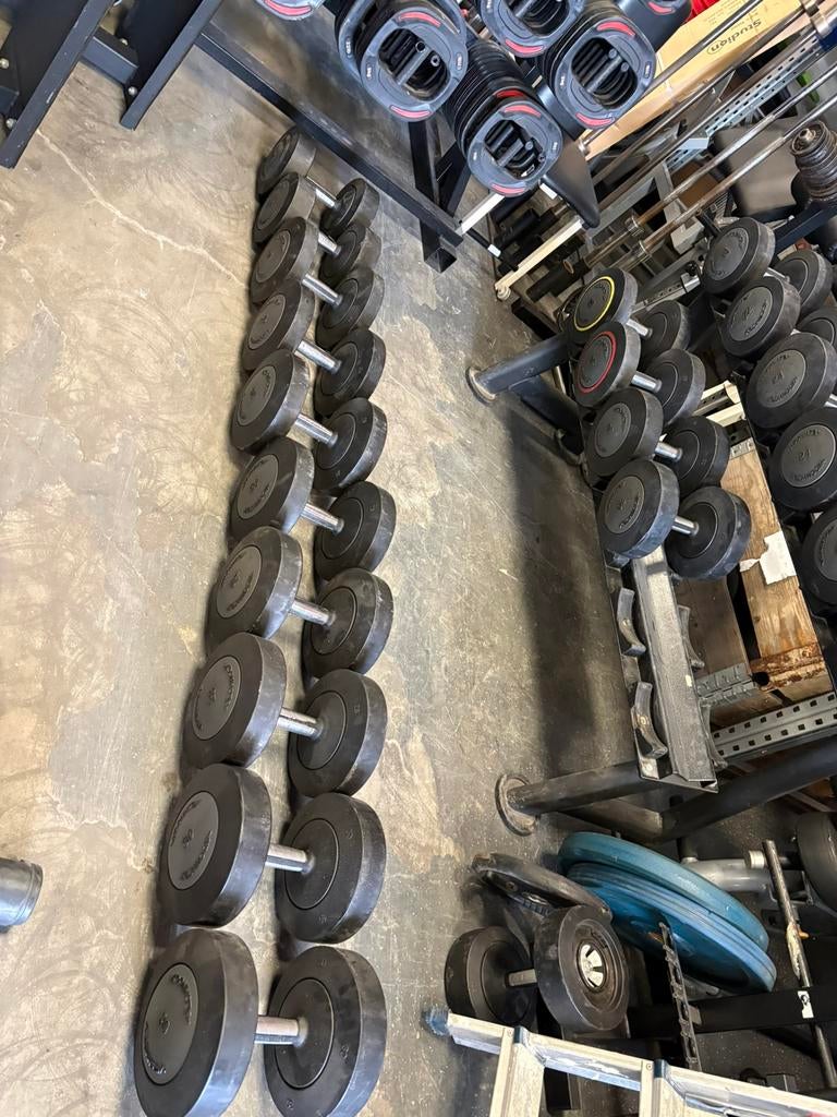 Technogym dumbbells 22-30 kg gewichten, Sport en Fitness, Fitnessmaterialen, Ophalen, Dumbbell, Gebruikt, Technogym