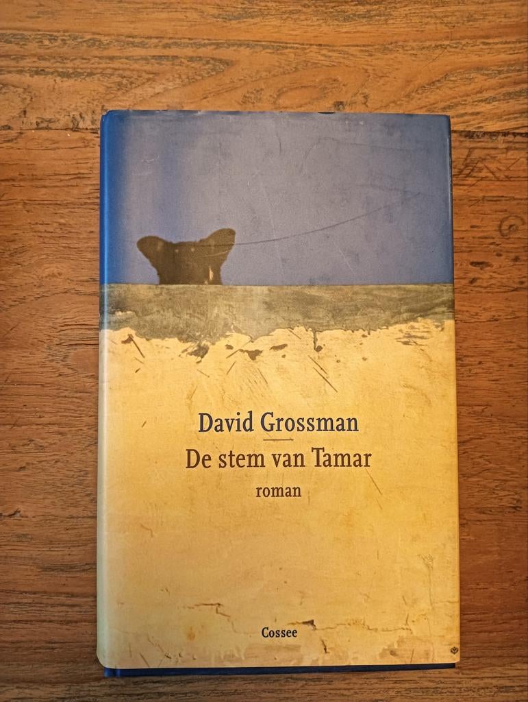 David Grossman - De stem van Tamar, Boeken, Ophalen of Verzenden, Zo goed als nieuw, David Grossman