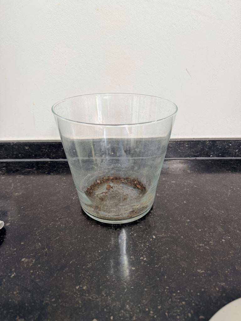 Gezocht: Glazen bloempot taps 15 x 16 x 11cm, Overige materialen, Gebruikt, Rond, Binnen