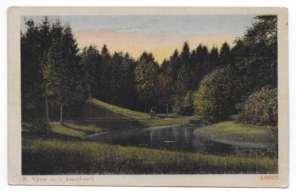 Assen Vijver in Asserbosch Ansichtkaart uit 1918  (B8044 ), Ophalen of Verzenden, Voor 1920, Gelopen, Drenthe