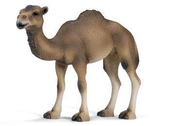 Schleich 14355 dromedaris, dierfiguur, Verzamelen, Dierenverzamelingen, Zo goed als nieuw, Beeldje of Figuurtje, Paard, Ophalen of Verzenden