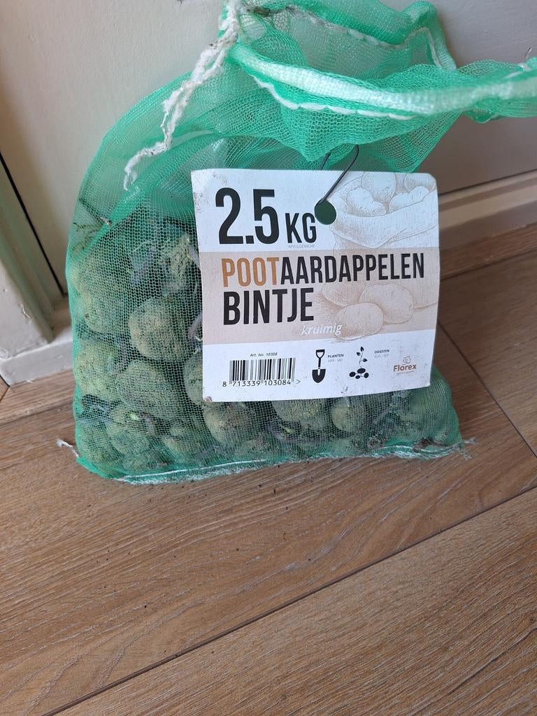 Pootaardappelen Bintje 1,5 kg, Ophalen, Volle zon