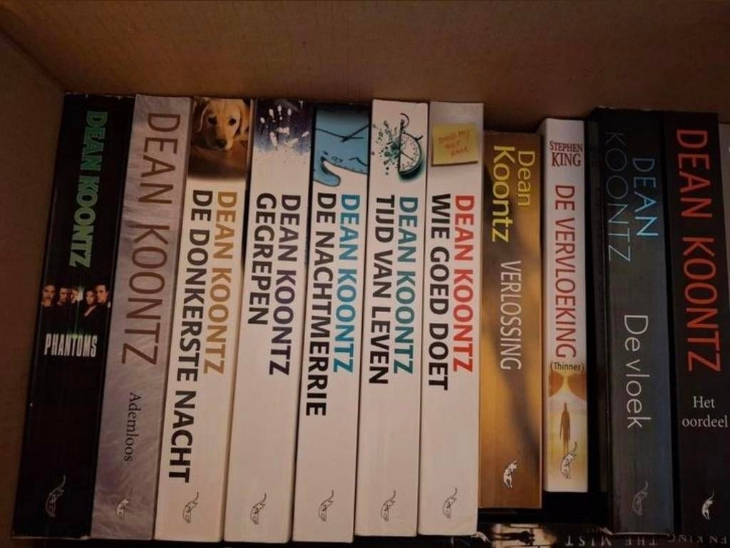 16 dean koont boeken voor 20 euro, Boeken, Ophalen of Verzenden, Zo goed als nieuw