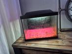 Aquarium  met led verlichting zelf schoon maken, Dieren en Toebehoren, Vissen | Aquaria en Toebehoren, Ophalen of Verzenden, Leeg aquarium
