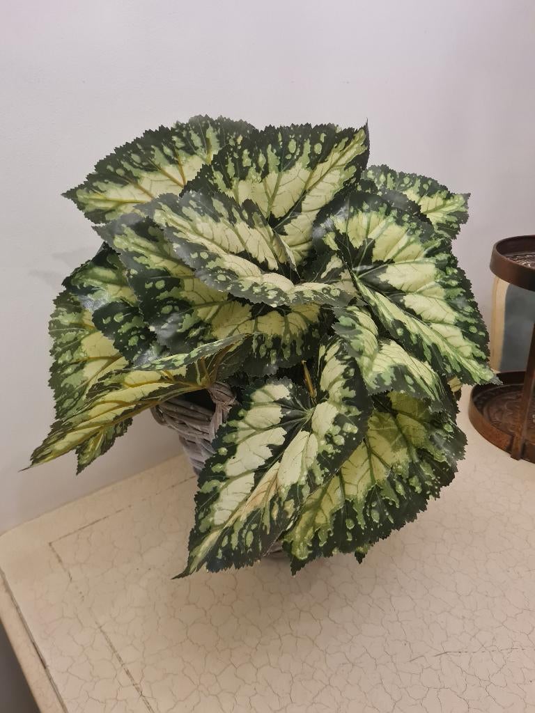 Grote kunstplant in rieten mand