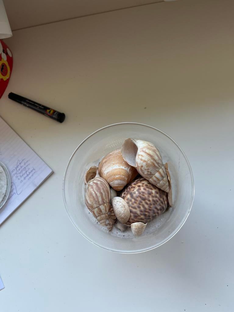 Windlicht, Huis en Inrichting, Woonaccessoires | Overige, Ophalen of Verzenden, Gebruikt