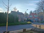 Boompjes, Ophalen, Halfschaduw, Zuilboom, 100 tot 250 cm