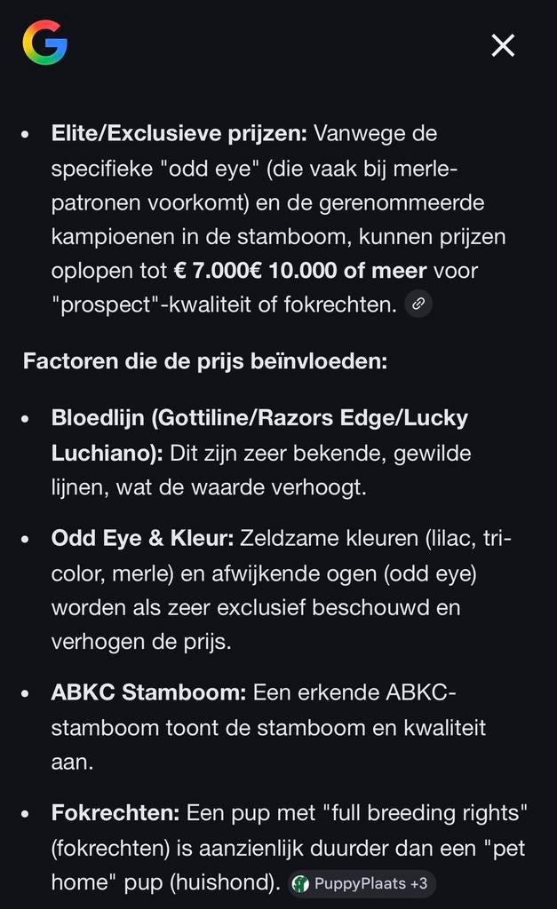 FORSE ODD EYE POCKET BULLY PUP met stamboom ABKC, Overige rassen, 8 tot 15 weken, Meerdere, Meerdere dieren