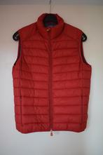 Bodywarmer Save the Duck Ultra light jack maat M, Kleding | Heren, Bodywarmers, Maat 48/50 (M), Save the duck, Ophalen of Verzenden