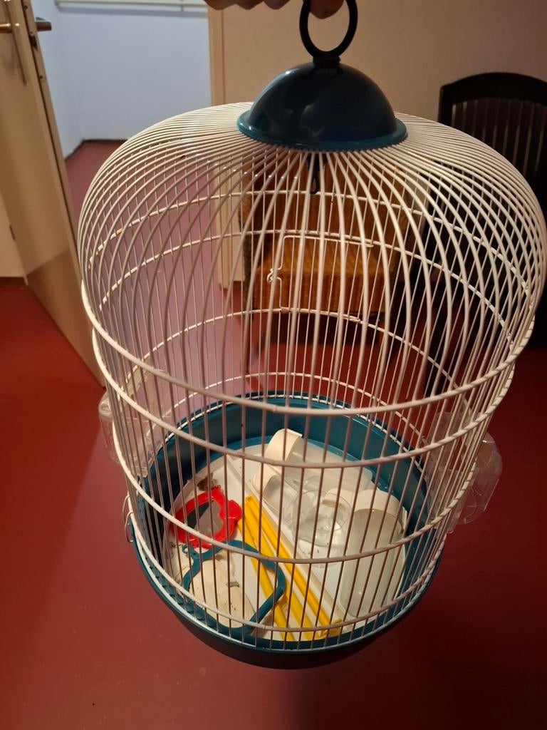 Vogel kooitje, Dieren en Toebehoren, Vogels | Hokken en Kooien, Ophalen, Metaal, Vogelkooi